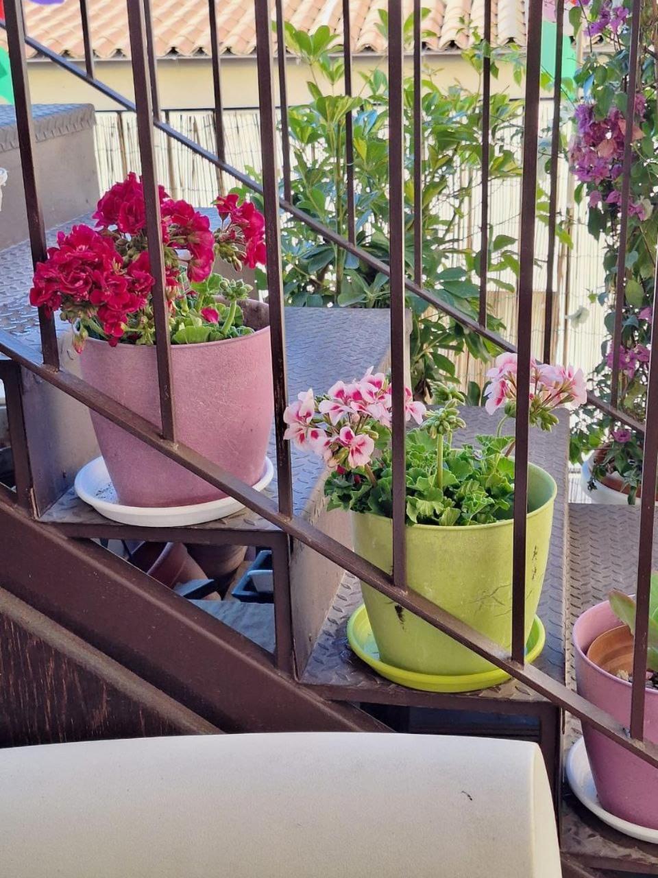 Sogni D'Oro Acomodação com café da manhã Agrigento Exterior foto