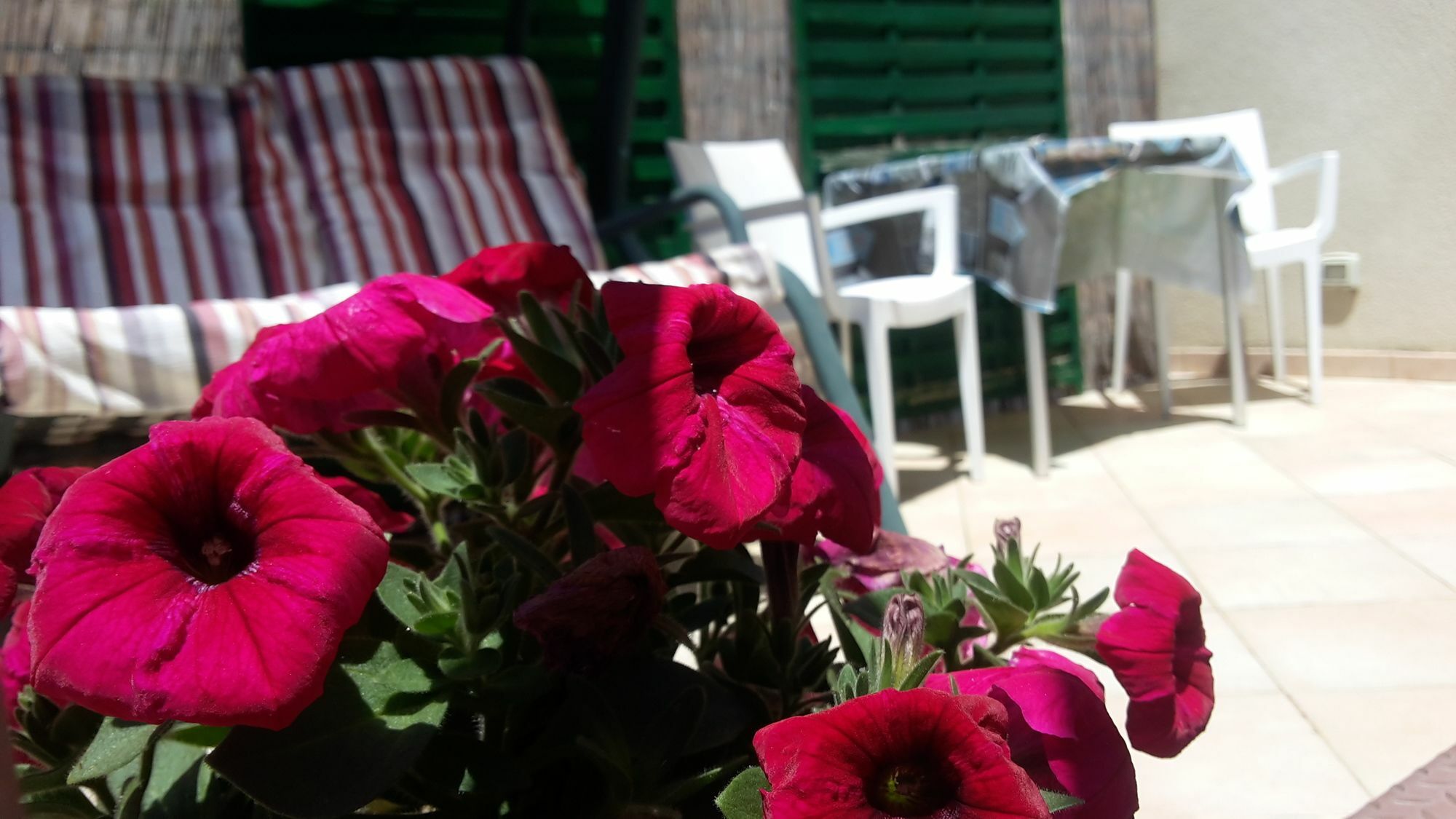 Sogni D'Oro Acomodação com café da manhã Agrigento Exterior foto